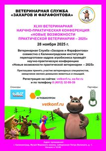 Новости ветклиники