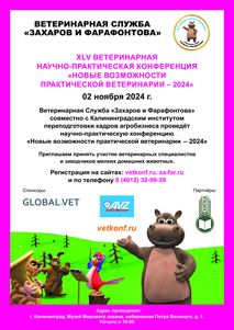 Новости ветклиники